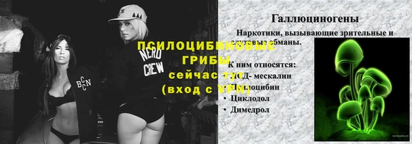 соль ск Арсеньев