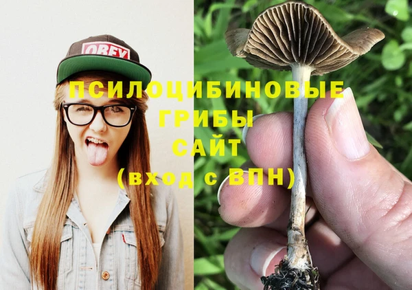 a pvp Армянск