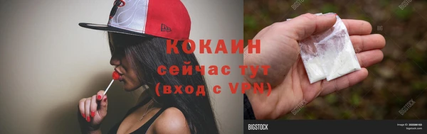 стаф Алзамай